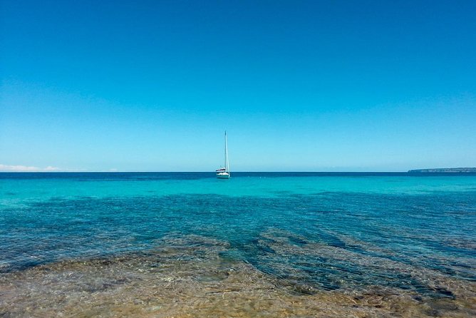 Full-Day Private Ibiza and Formentera Charter Cruise - Experience Highlights