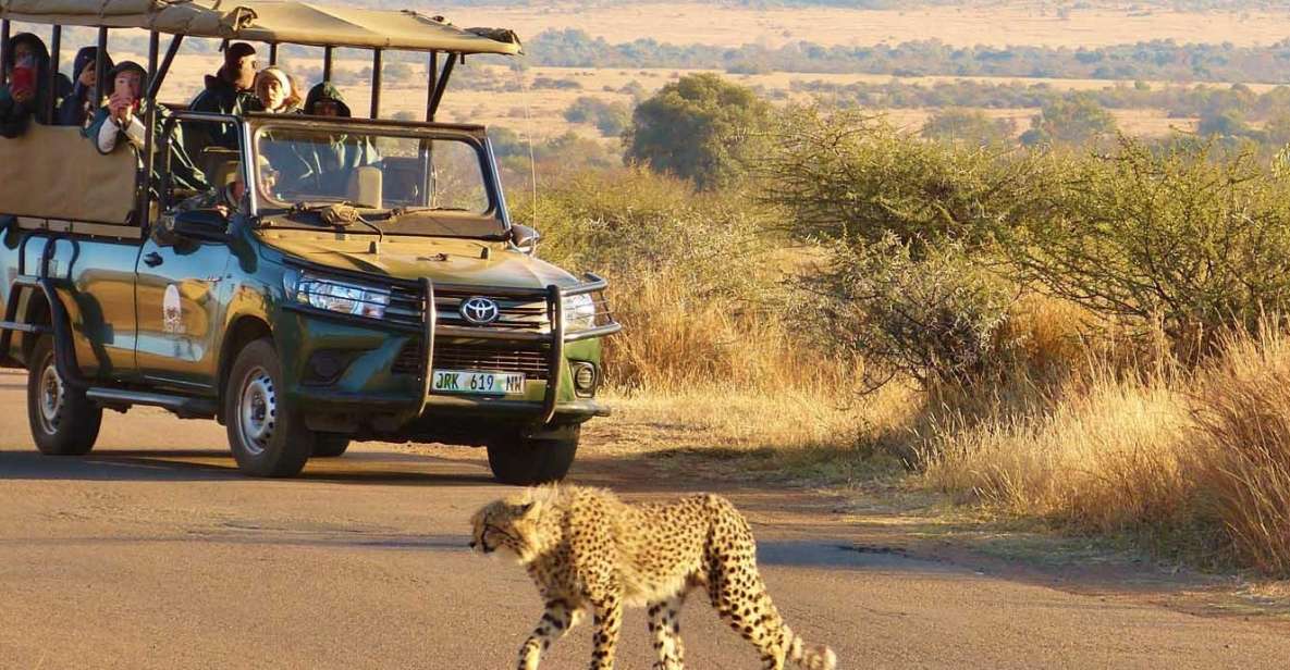 Full Day Private Kruger Safari From Hoedspruit - Private Group Experience