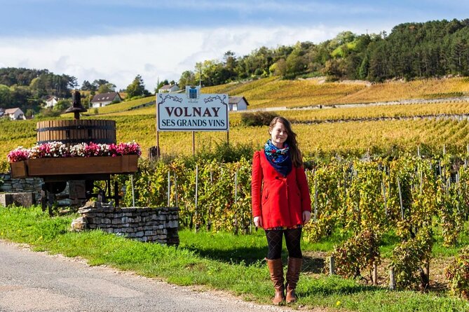 Full Day Private Tour 10 Premiers & Grands Crus, The Best of Burgundy - Inclusions