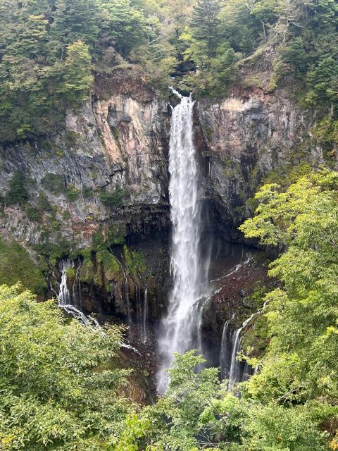 Full-Day Private Tour in Nikko Japan English Speaking Driver - Highlights of the Tour