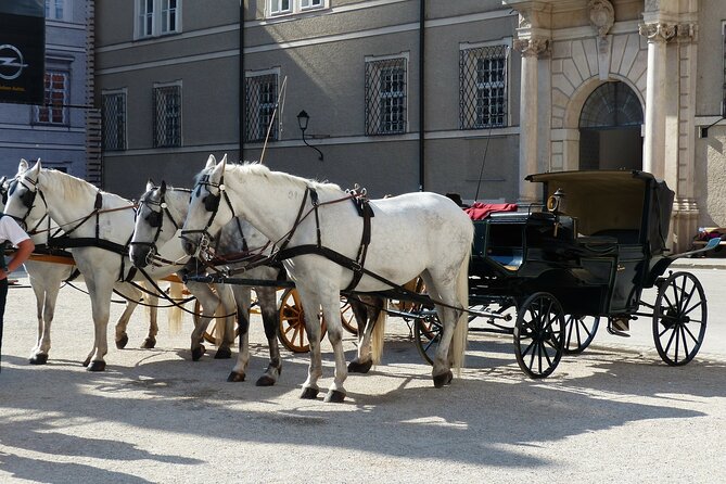 Full-Day Private Tour of Hallstatt and Salzburg From Vienna - Itinerary Details