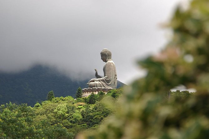 Full-Day Private Tour of Lantau Island Including Big Buddha and Tai O - Tour Itinerary and Highlights