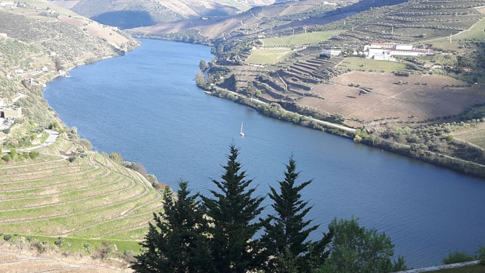 Full-Day Private Tour (Porto City Douro Valley) - Experience Highlights