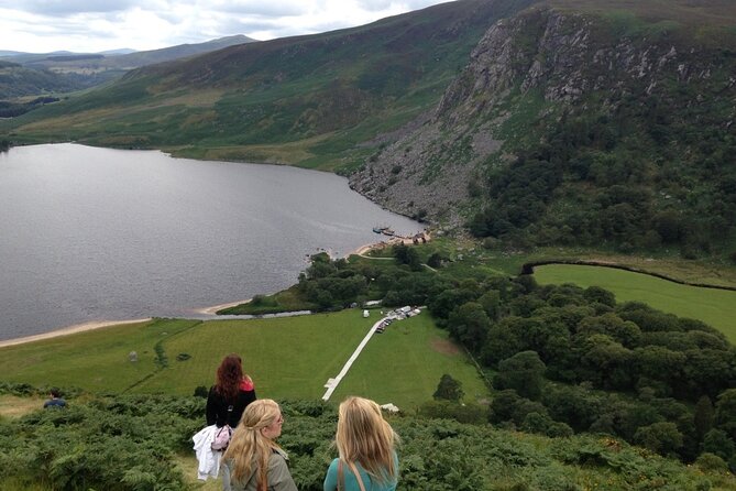 Full Day Private Wicklow Tour - Pickup Information and Flexibility
