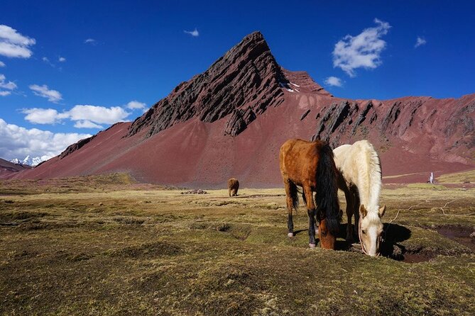 Full Day Rainbow Mountain Tour Vinicunca With Guide - Company Details