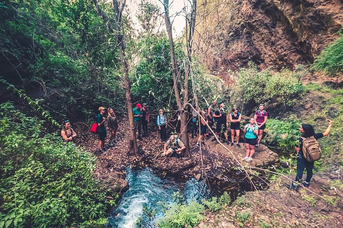 Full Day Rainforest Tour With Tasting and Swimming Time - Cancellation Policy