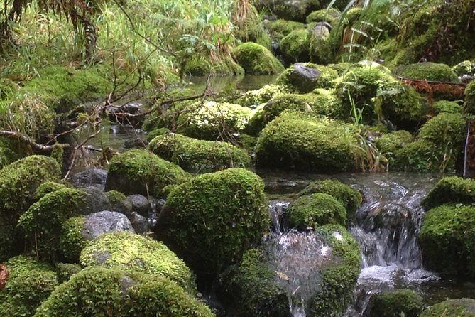 Full-Day Small-Group Routeburn Valley Walk - What to Bring