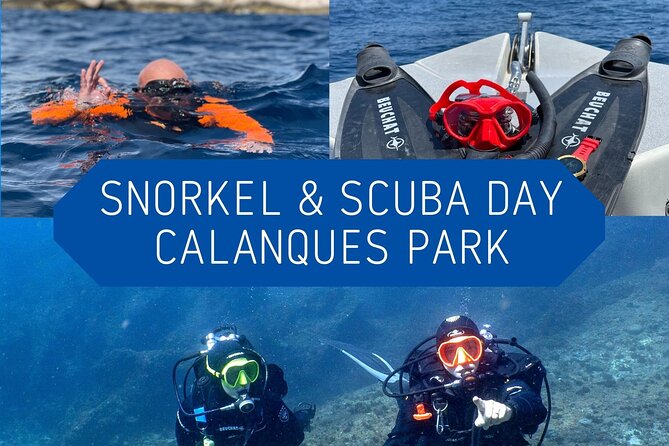 Full-Day Snorkeling and Guided Dive in the Calanques National Park From Marseille - Booking Information