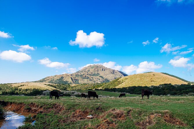 Full-Day Tour in Yangmingshan & Beitou From Taipei - Meeting Point and Departure