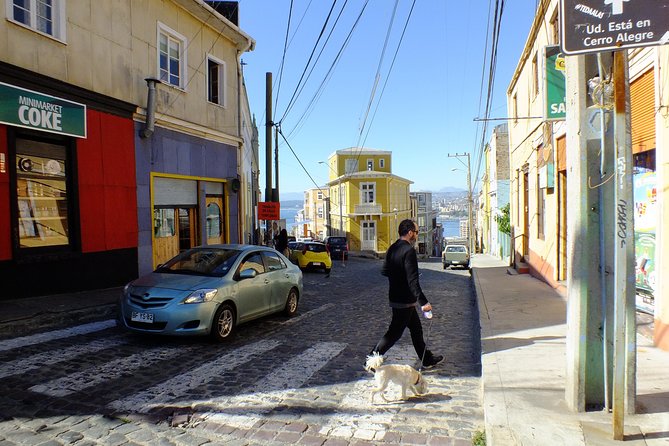 Full-Day Tour of Valparaiso Port and Viña Del Mar From Santiago - Cancellation Policy Details