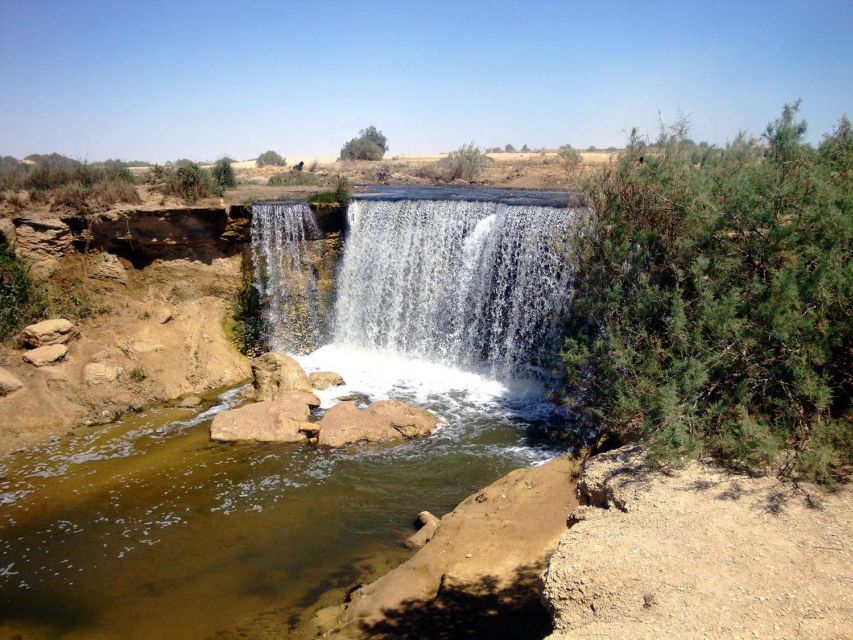 Full-Day Tour To El Fayoum From Cairo - Itinerary Overview