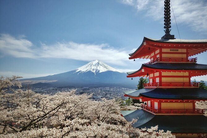 Full Day Tour to Mount Fuji With Guide - Booking Information