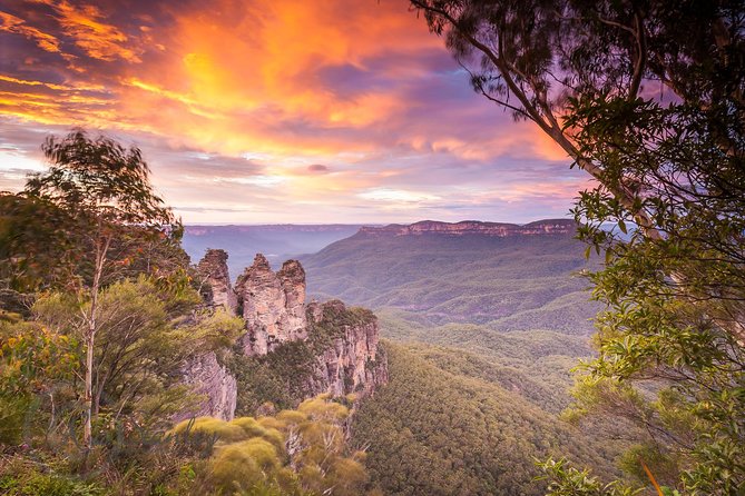 Fully Inclusive Blue Mountains Private Tour Inc Scenic World & Featherdale Entry - Scenic World Experience