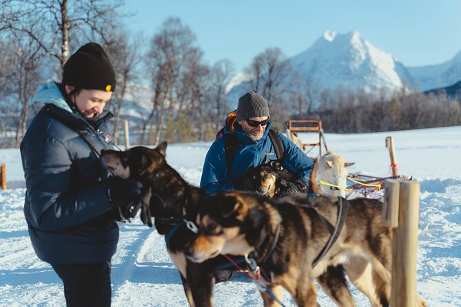 Fun & Easy Dog Sledding Adventure - Early Bird - Health and Safety Considerations