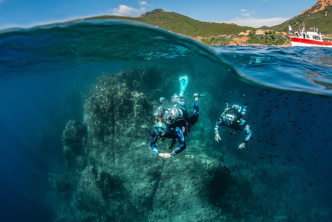 Fun Scuba Diving in Tenerife - Dive Sites and Underwater Landscapes