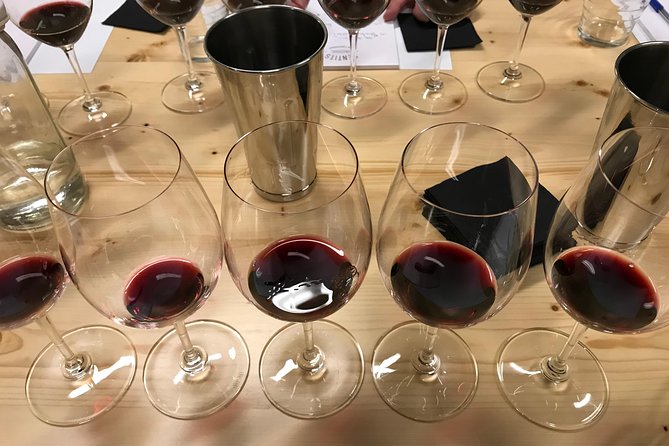 Fun Wine Tasting in Barcelona With a Sommelier! - Accessibility Information