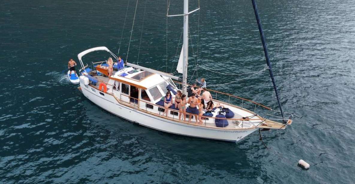 Funchal: Dolphin and Whale Watching Sailing Trip - Activity Information