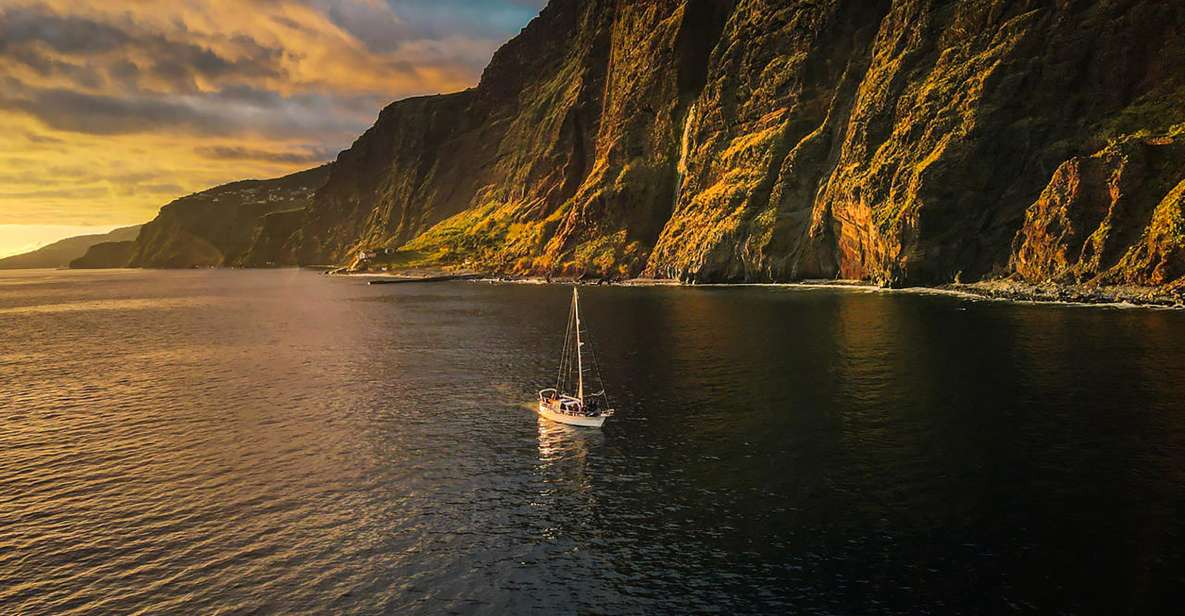 Funchal: Dolphin and Whale Watching Sunset Sailing Tour - Experience Highlights