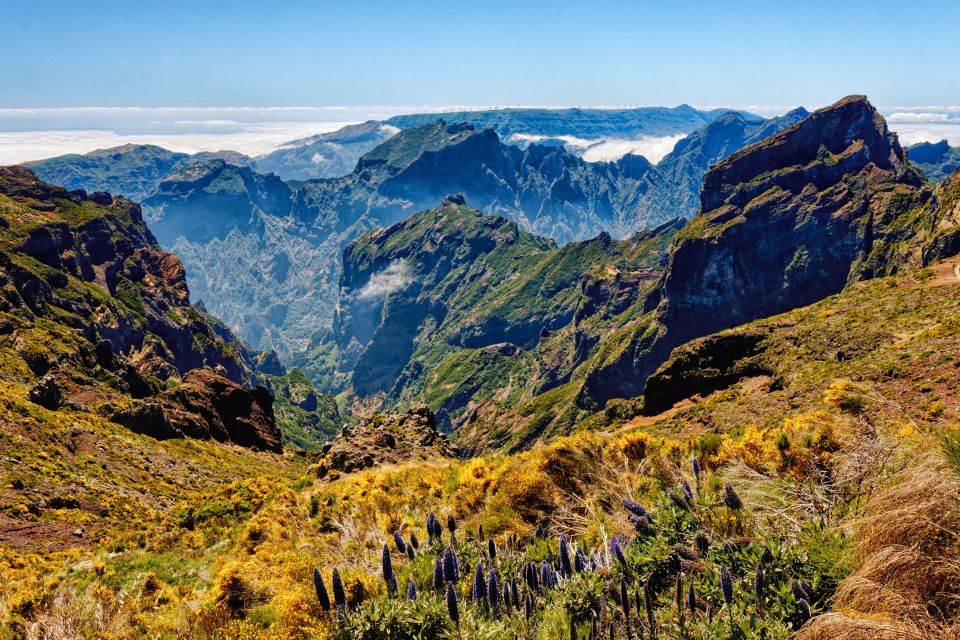 Funchal: East Madeira Island Guided Tour & Laurissilva Walk - Tour Details