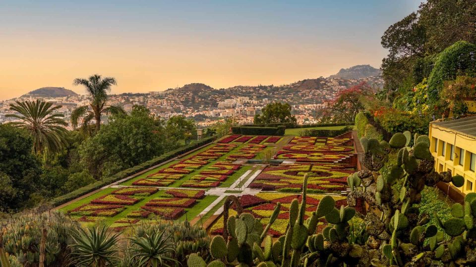 Funchal: Guided Tuk Tuk Tour and Botanical Gardens - Booking Information