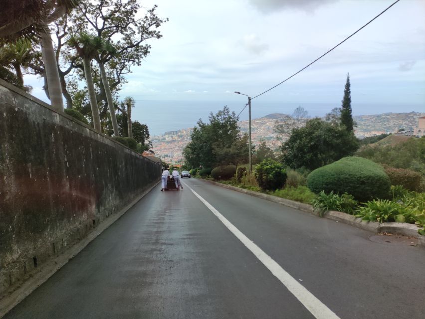 Funchal: Monte and Old Town Tour by Tuk-Tuk - Experience Highlights