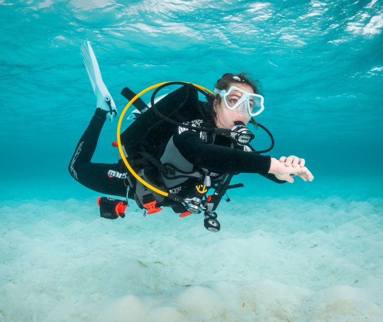 Funchal: Scuba Diving Experience for Beginners - Experience Highlights