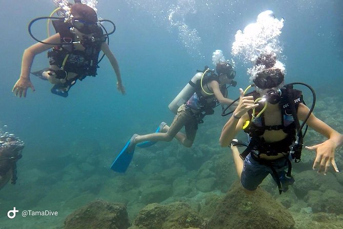 Fundive Catalina Islands (2 Dives Only for Certified Divers) - Start Time and Pickup Instructions