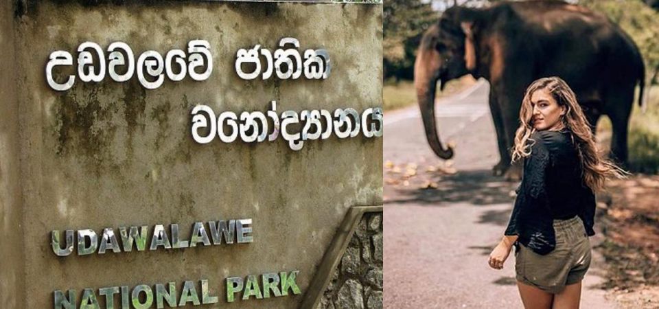 Galle (Hikkaduwa) To Udawalawe National Park Safari Tour - Wildlife Experience