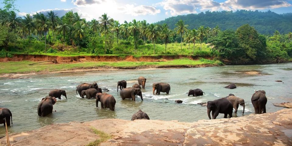 Galle (Unawatuna) To Udawalawe National Park Safari Tour - Booking Information