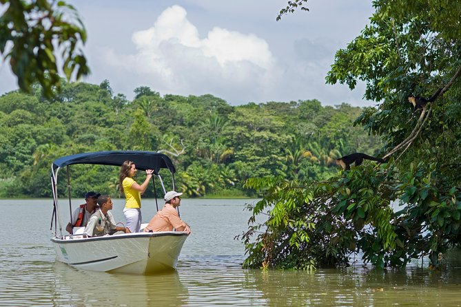 Gamboa Rainforest Combo Pack From Panama City - Positive Customer Reviews