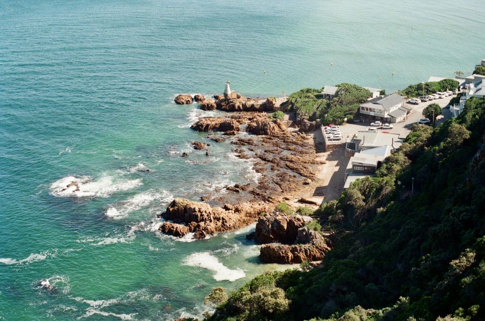 Garden Route Tour, A Garden Route Odyssey - Small Group Limit and Tour Highlights