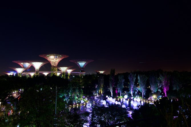 Gardens By The Bay Night Long-Exposure Photography - Understanding Long-Exposure Techniques