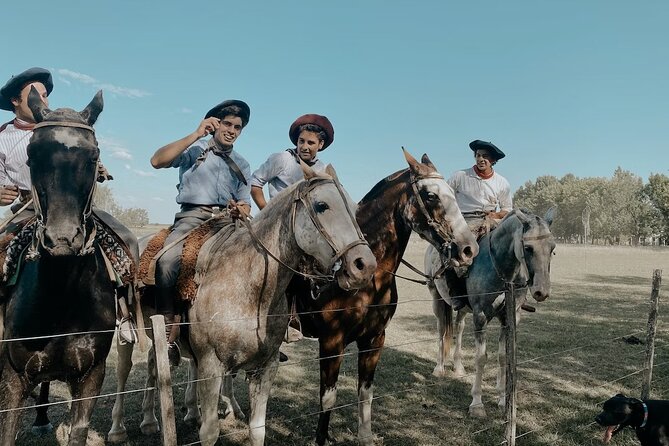 Gaucho Day Trip From Buenos Aires: Don Silvano Ranch - Culinary Delights and Cultural Experiences