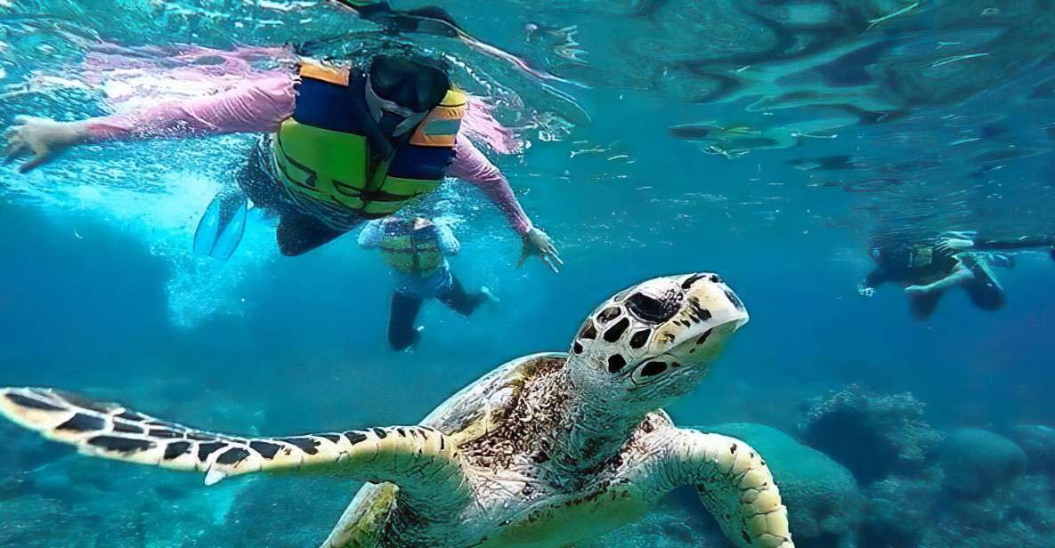 Gili Islands Snorkeling Adventure - Adventure Highlights