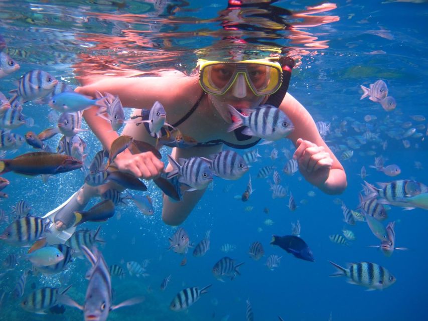 Gili Trawangan: Islands Hopping Snorkeling Trip - Experience Highlights on the Snorkeling Trip