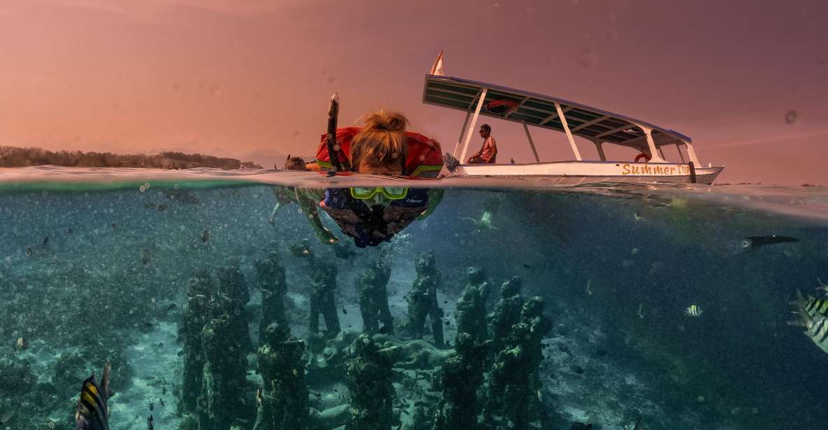 Gili Trawangan: Sunset Snorkeling Trip Gili Islands - Inclusions and Equipment Provided