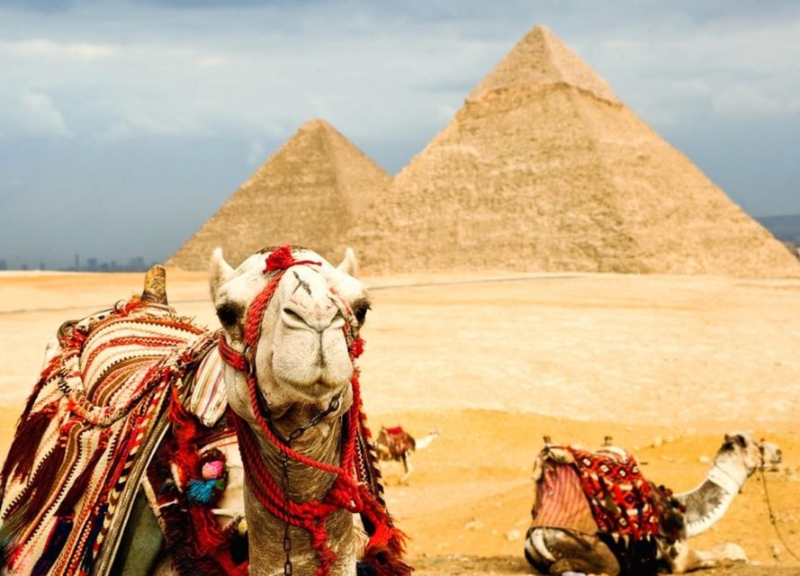 Giza Pyramids Entry Ticket - Experience Highlights
