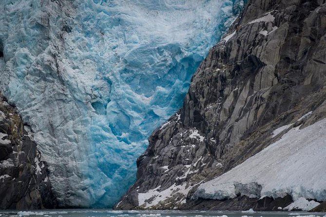 Glacier & Wildlife Discovery Tour - Native Wildlife Sightings