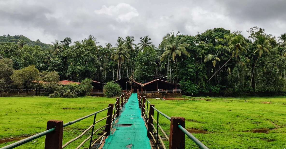 Goa: Spice Plantation Tour and Traditional Local Lunch - Experience