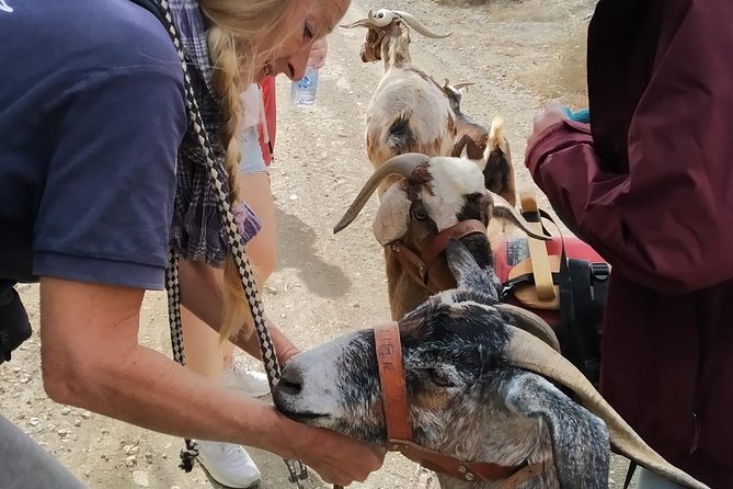 Goat Trekking Fuerteventura - Traveler Reviews