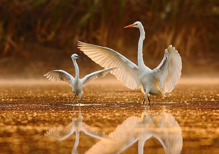 Golden Triangle Tour With Bharatpur - Wildlife Safari Experience