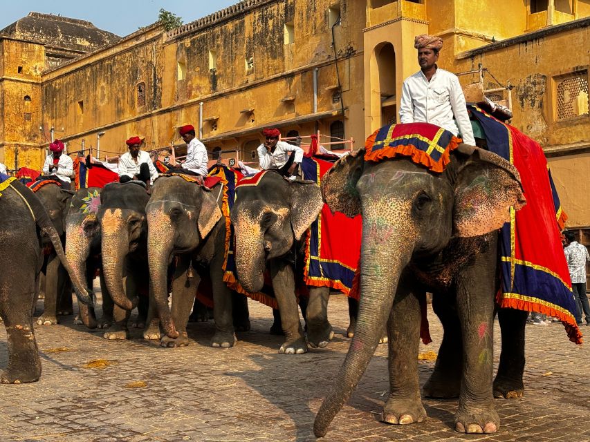 Golden Triangle Tour With Ranthambore by Car 6 Nights 7 Days - Tour Experience and Highlights