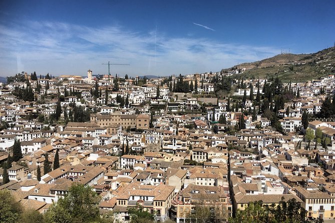 Granada and Albaicin: Wine and Tapas Tour - Albaicin Exploration