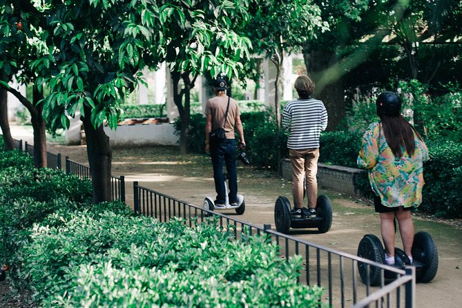 Granada: Panoramic Tour by Segway - Inclusions