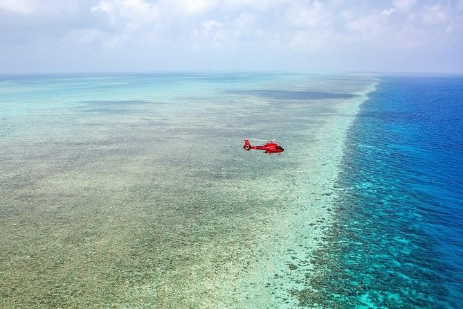 Great Barrier Reef 30-Minute Scenic Helicopter Tour From Cairns - Tour Details