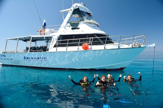 Great Barrier Reef Cruise From Townsville or Magnetic Island - Snorkeling and Diving Options