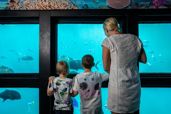 Great Barrier Reef Day Cruise to Reefworld - Booking Information