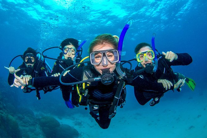 Great Barrier Reef Diving and Snorkeling Cruise From Cairns - Positive Experiences
