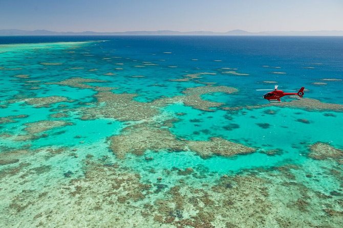 Great Barrier Reef Full-Day Cruise, Scuba Diving & Helicopter  - Cairns & the Tropical North - Additional Information and Policies