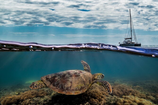 Great Barrier Reef Sailing & Snorkeling Cruise From Port Douglas - Logistics